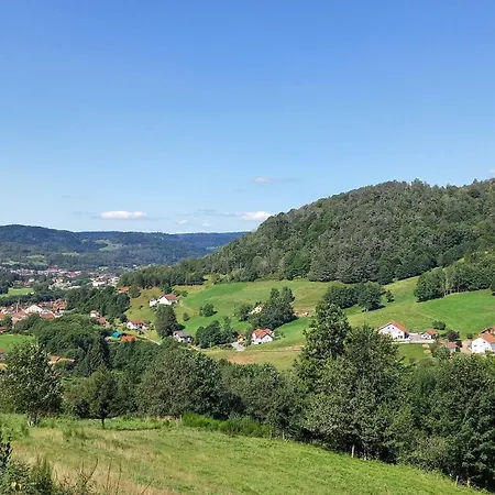 Vakantiehuis Gite Chalet 12 Pers Spa Hautes Vosges Les Libellules *