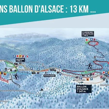 Gite Chalet 12 Pers Spa Hautes Vosges Les Libellules Fresse-sur-Moselle