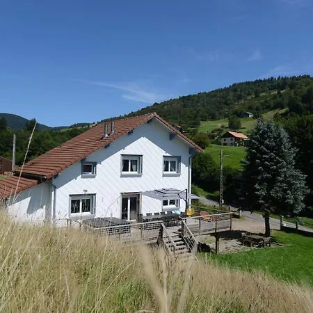 Gite Chalet 12 Pers Spa Hautes Vosges Les Libellules Vakantiehuis