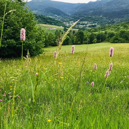 Vakantiehuis Gite Chalet 12 Pers Spa Hautes Vosges Les Libellules *