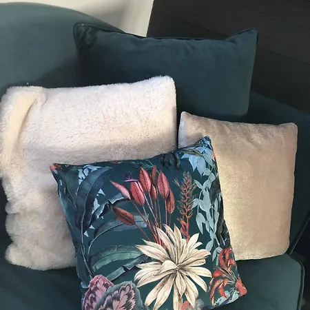 Evasion 4 étoiles Privé Aux Libellules 12 Pers Montagne Vosges Hébergement de vacances *