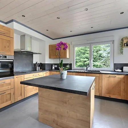 Evasion 4 étoiles Privé Aux Libellules 12 Pers Montagne Vosges Hébergement de vacances *