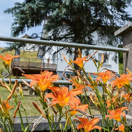 Gite Chalet 12 Pers Spa Hautes Vosges Les Libellules Vakantiehuis Fresse-sur-Moselle