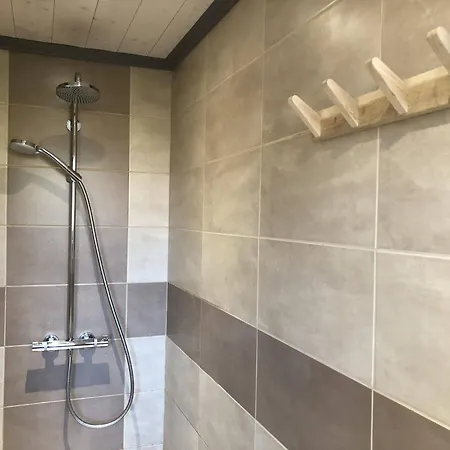 Vakantiehuis Gite Chalet 12 Pers Spa Hautes Vosges Les Libellules *