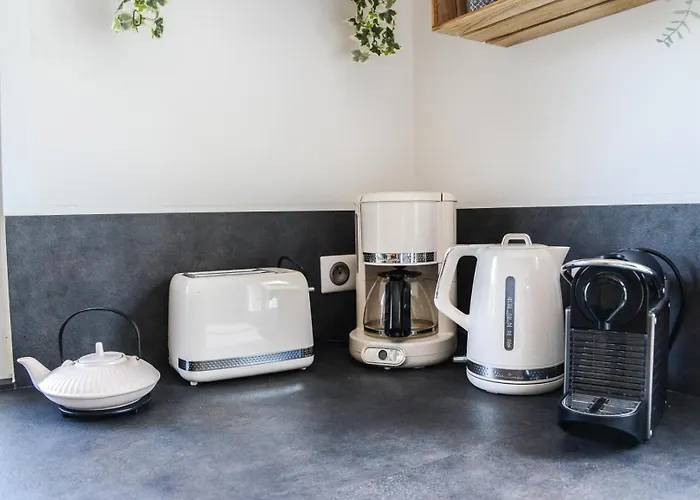 Evasion 4 Etoiles Prive Aux Libellules 12 Pers Montagne Vosges